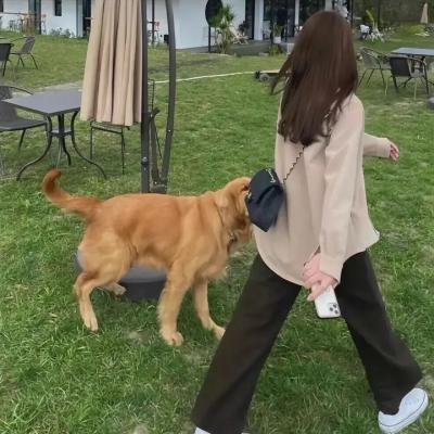 我们差点丧命